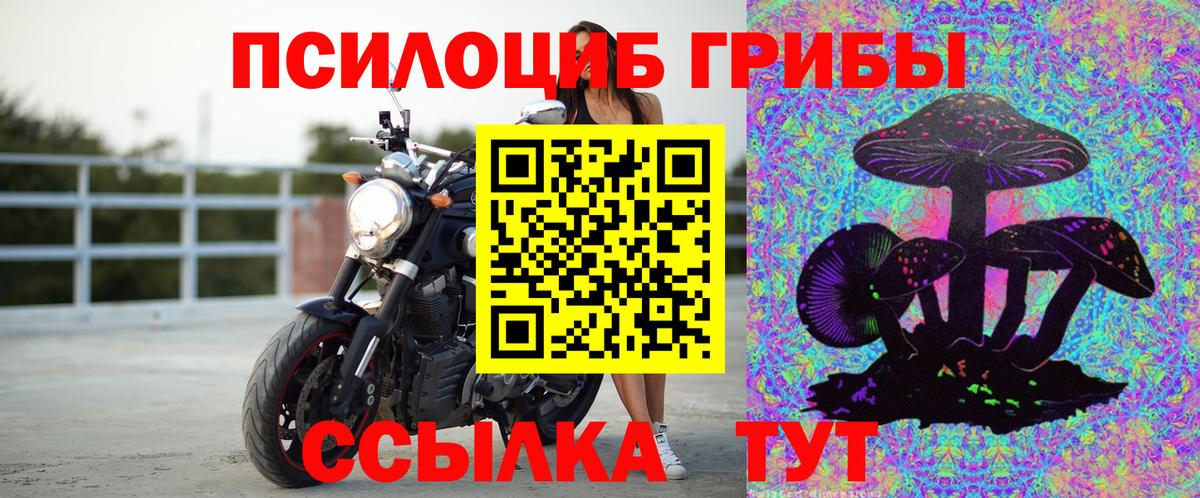 Каменск-Уральский  Псилоцибиновые грибы прущие грибы  Вход с VPN 